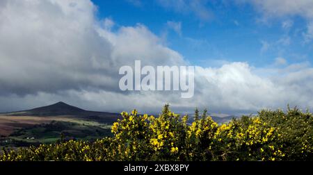 Sugar Loaf, Mynydd Pen-y-fal, is on the southern edge of the Black Mountains in Bannau Brycheiniog, the Brecon Beacons National Park Stock Photo