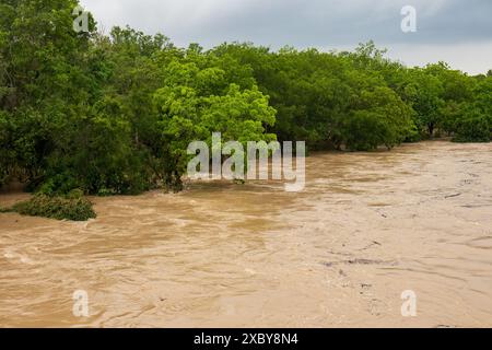 Raging River: The Lampasas River in Texas Hill Country surges with muddy ferocity after heavy rains, flooding banks and showcasing nature's power. Stock Photo