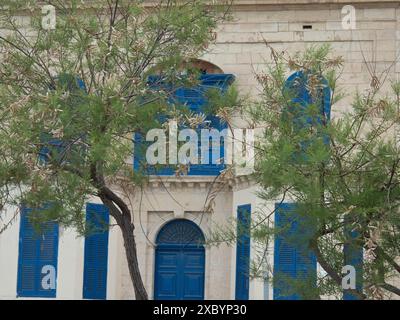 Stone building with blue shutters and doors, surrounded by green trees in a historic old town, valetta, mediterranean sea, malta Stock Photo