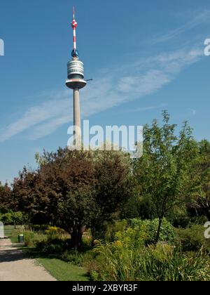 A tall television tower rises into the clear blue sky, surrounded by trees and a path, Vienna, Austria Stock Photo