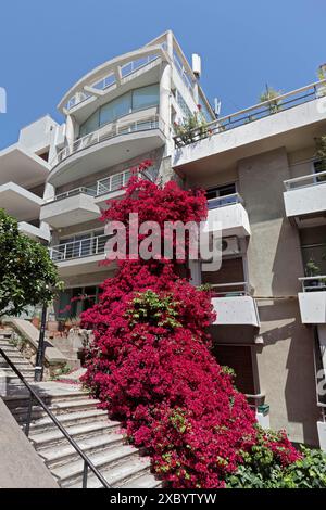 Modern apartment building in steep staircase alley, overgrown with bougainvillea, Kolonaki neighbourhood, Athens, Greece Stock Photo