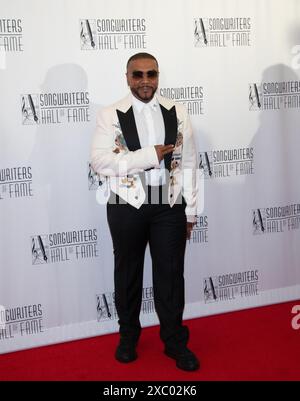 New York, United States. 13th June, 2024. Timbaland arrives on the red carpet at the 2024 Songwriters Hall of Fame Induction and Awards Gala at New York Marriott Marquis Hotel on Thursday, June 13, 2024 in New York City. Photo by Serena Xu Ning/UPI Credit: UPI/Alamy Live News Stock Photo