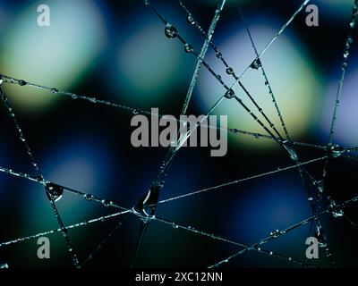 Water drops for background and wallpaper. Stock Photo