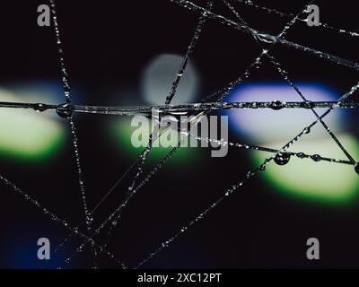Water drops for background and wallpaper. Stock Photo