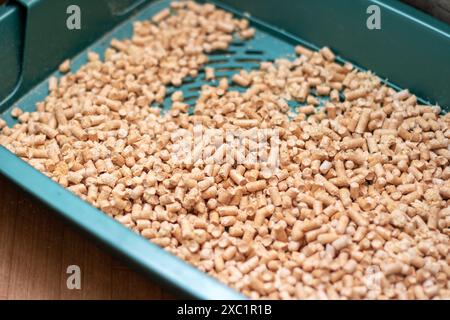 A green litter box filled with wooden pellets and a scoop is used for managing pet waste Stock Photo