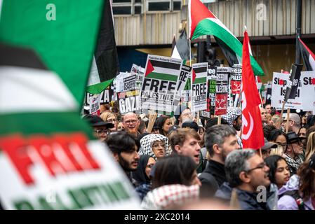 Pro-Palestinian protest in Central London on 08/06/2024, London, England, UK Stock Photo