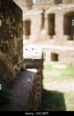 Discovering Hidden Corners of Kusel Castle Stock Photo