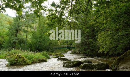 A scenic river valley in the Aisttal region, Upper Austria. A wild stream flows between moss-covered boulders through dense, lush forest Stock Photo