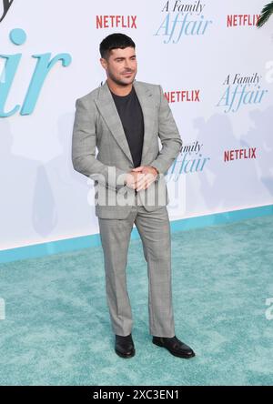 LOS ANGELES, CALIFORNIA - JUNE 13: Zac Efron attends the Los Angeles premiere of Netflix's 'A Family Affair' at The Egyptian Theatre Hollywood on June Stock Photo