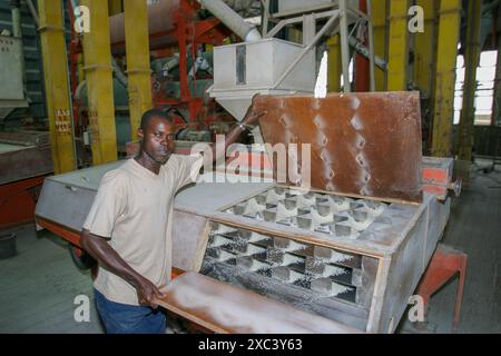 Suriname, Wageningen. Employee is showing a machine for rice polishing in a rice mill. Stock Photo