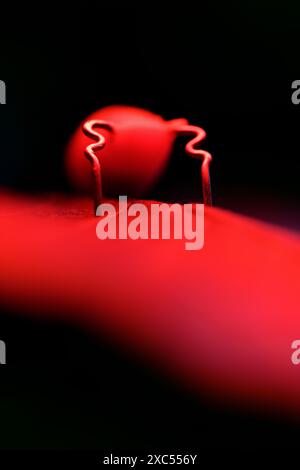 Red robot iInsect Stock Photo