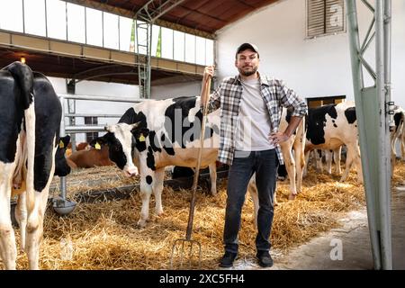Portrait of man farm worker with pitchfork in hand in front of black-and-white cows on livestock farm. Stock Photo