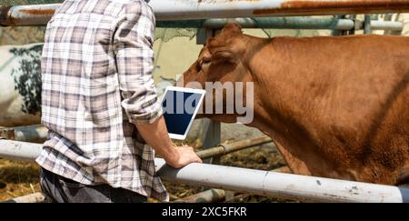 Man farm worker inspects animals on a livestock farm using digital tablet. Stock Photo