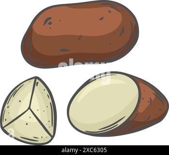 Three potatoes line drawing vector vintage illustration. Stock Vector