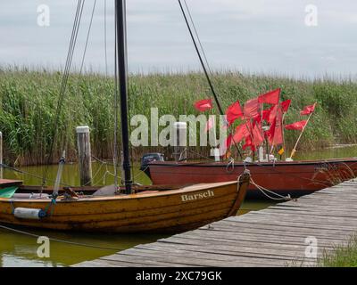 Two wooden boats with red sails are moored on a wooden jetty in the water, surrounded by thick reeds, ahrenshoop, zingst, germany Stock Photo