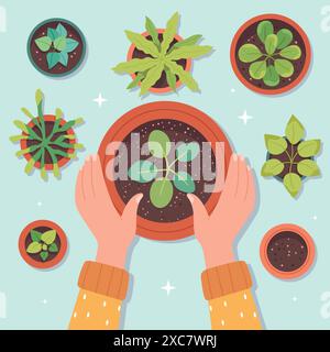 Flowers replanting. Hands transplanting garden plant in home soil pot, indoor succulent top view carring cultivation sprout houseplant florist concept Stock Vector