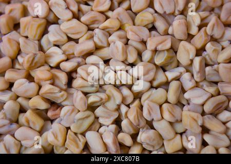 close-up view of Split fenugreek seeds, known as Methi Kuria, are cracked fenugreek seeds frequently utilized in Indian pickle recipes. Stock Photo