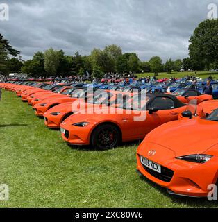 Mazda MX5 30th Anniversary row Stock Photo