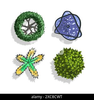Set  trees top view in color. Pictograms for general plans  landscape design in sketch style with shadow. Isolated on white background. Vector. Stock Vector