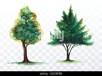 Set of various watercolor trees on transparent background Stock Vector