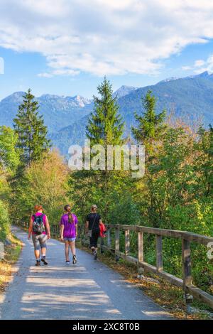 Bohinj, Slovenia - August 19, 2018: Three hikers walk along the scenic natural trail of the Bohinj Valley among some alpine lush vegetation in a summe Stock Photo