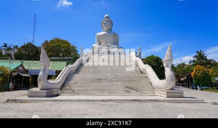 Stairs protected by Naga dragons leading up to the Great Buddha of Phuket aka Ming Mongkol Buddha, a seated Maravijaya Buddha statue covered in white Stock Photo