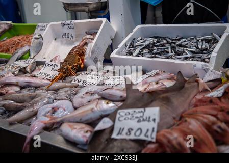 A stall in a fish market in Cádiz, Spain displays different types of fish for sale. Stock Photo