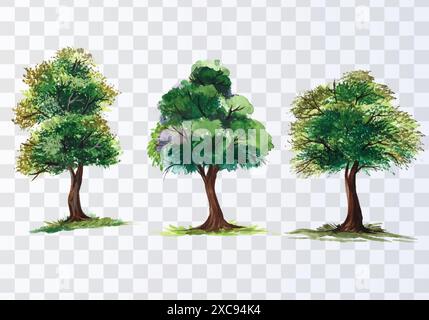 Set of various watercolor trees on transparent background Stock Vector