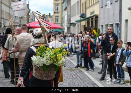 Lutherstadt Wittenberg, Germany. 15th June, 2024. A flower lady in the procession for Luther's wedding. The Wittenberg festival 'Luther's Wedding' takes place this weekend. On June 13, 1525, the former monk Martin Luther and the escaped nun Katharina von Bora married in Wittenberg. Credit: Heiko Rebsch/dpa/Alamy Live News Stock Photo