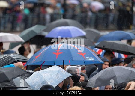 London, UK. 15th June, 2024. In a mix of torrential rain, thunder & lightning, and finally sunshine, Trooping the Colour for the King’s Official Birthday Parade takes place with Catherine, Princess of Wales, attending. As the procession made its way along The Mall towards Buckingham Palace after the Review the weather became extreme for a while with thunder, lightning and very heavy rain, though the skies cleared for the RAF Red Arrows flypast. Credit: Malcolm Park/Alamy Live News Stock Photo