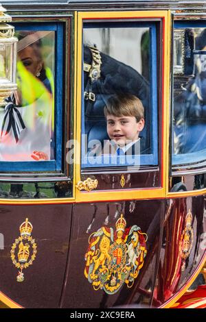 The Princess of Wales Seamus, the Irish Guards mascot during a visit to ...