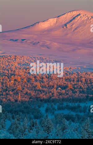 A breathtaking sunrise illuminates the snow-capped peaks of a Norwegian mountain range, casting a warm glow over the winter landscape. The trees in th Stock Photo