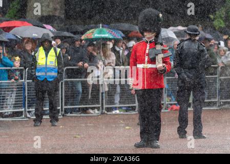 Household Division Street Liner, police officer and private security person, with public during rainstorm at Trooping the Colour 2024, in The Mall Stock Photo