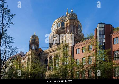 Berlin, Germany - 02 April 2024,  The New Synagogue on Oranienburger Straße in Berlin is a mid-19th century synagogue built as the main place of worsh Stock Photo