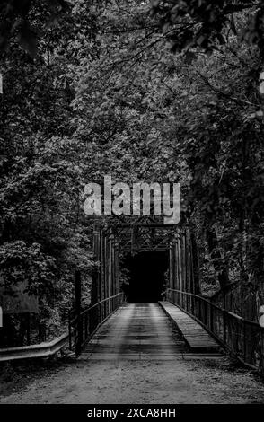 Wooden bridge with tree cover on either side leading to a dark open tunnel. Stock Photo