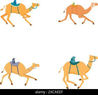 Illustration collection featuring four camels with saddles, depicted in different standing and walking positions Stock Vector