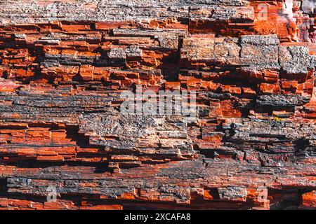 Close up view of a petrified tree bark Stock Photo