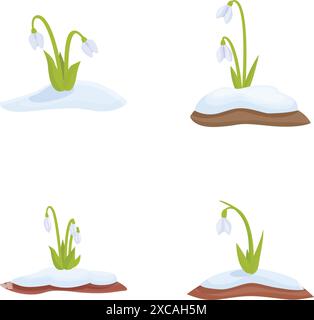 Beautiful four seasons snowdrop illustrations depicting the gentle bloom and delicate petals of the snowdrop flowers in winter. Spring. Summer. And fall Stock Vector