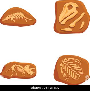 Detailed prehistoric fossil illustrations set with dinosaur bones and skeletal replicas on white background for science education and paleontology research Stock Vector