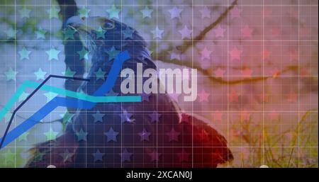 Multiple blue graphs moving over grid network and multiple stars against close up view of an eagle Stock Photo