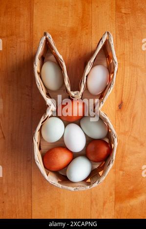 Blue, brown and white eggs in a brown bunny shaped wicker basket on a wooden farm table. Stock Photo