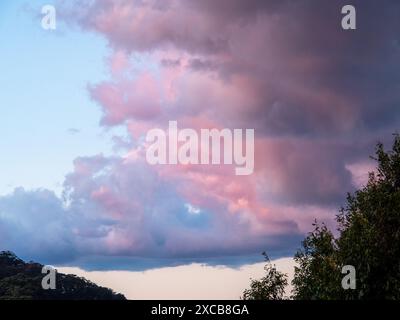 Dramatic pink cloud, storm clouds cell, brightly back lit from the sun shining Stock Photo