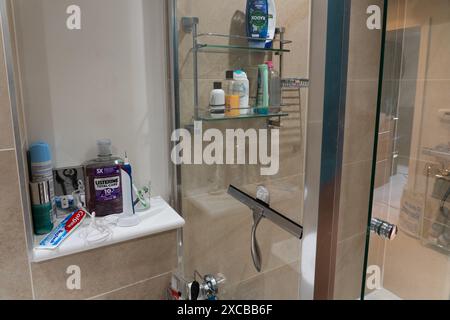British bathroom interior with toiletries, mouthwash, toothbrush, shower cubicle, squeegee for drying the shower, wall tiles, shower door Stock Photo