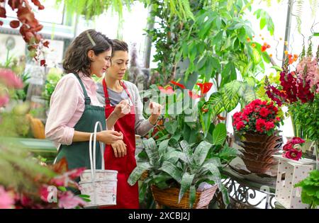 Florists in flower shop Stock Photo