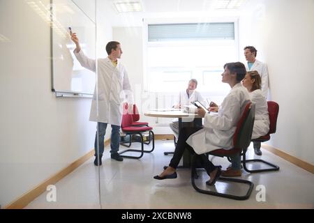 Researchers, Meeting, Tecnalia Foundation, Technology and Research Centre, San Sebastian Technological Park, Donostia, Gipuzkoa, Basque Country, Spain Stock Photo