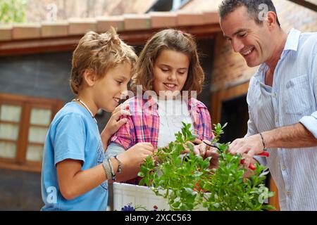 Father and sons pruning a plant. Pot. DIY home. Stock Photo