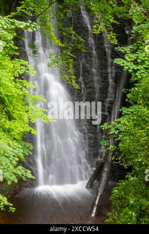 Falling Foss waterfall in the North York Moors National Park, North Yorkshire, England, UK Stock Photo