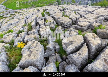 Clints and grykes on the limestone pavement at Malham Cove, Yorkshire Dales, UK Stock Photo