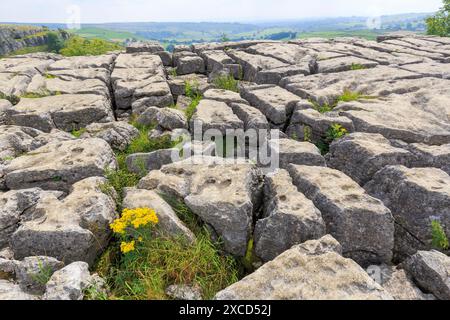 Clints and grykes on the limestone pavement at Malham Cove, Yorkshire Dales, UK Stock Photo