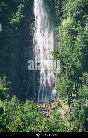 View with Nachi Waterfall located in Nachikatsuura, Wakayama, Japan Stock Photo